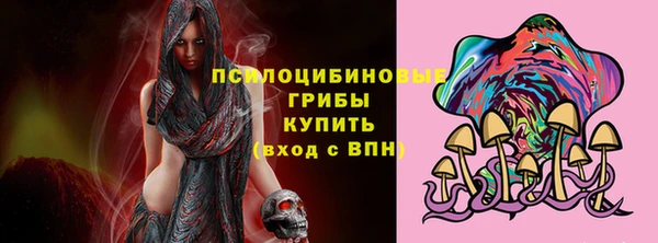 кокс Гусев
