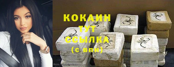 кокс Гусев