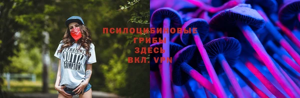 мефедрон Гусиноозёрск