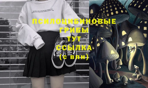 первитин Балахна
