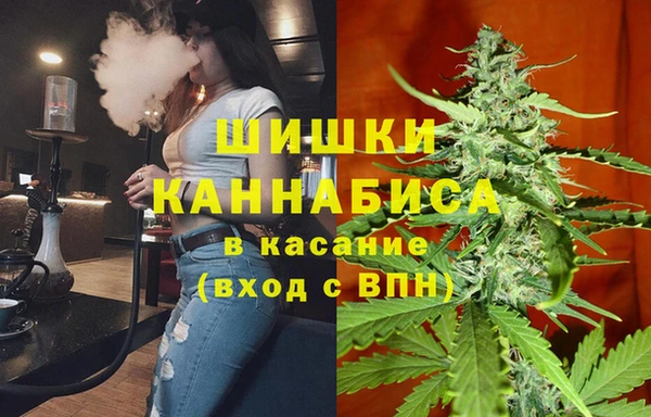 кокс Гусев