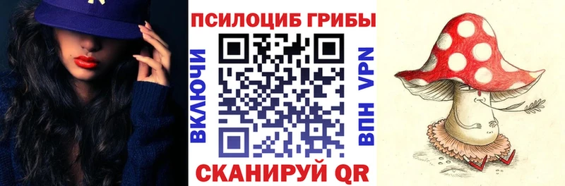 дарнет шоп  Сурск  Псилоцибиновые грибы ЛСД 