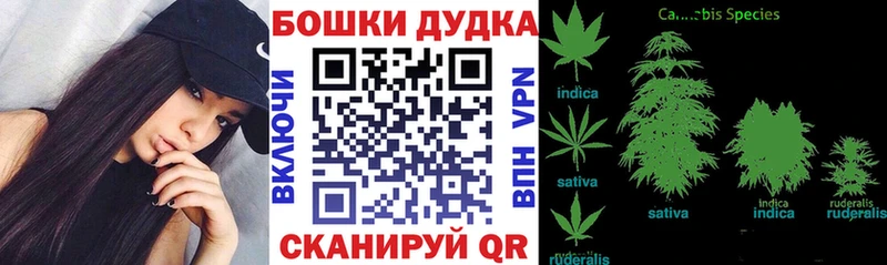 ОМГ ОМГ ONION  Сурск  Канабис Ganja 